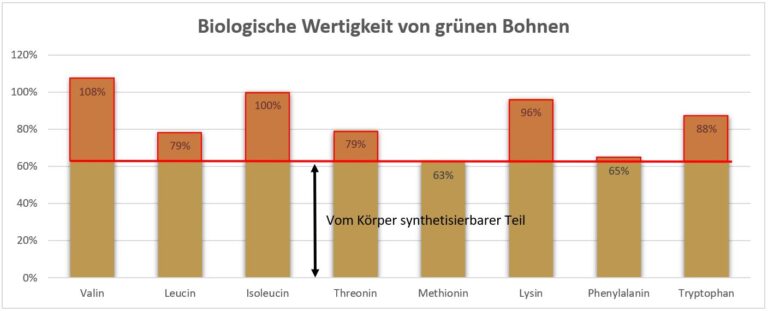 High Protein – Wie viel Eiweiß brauchen Sie wirklich?
